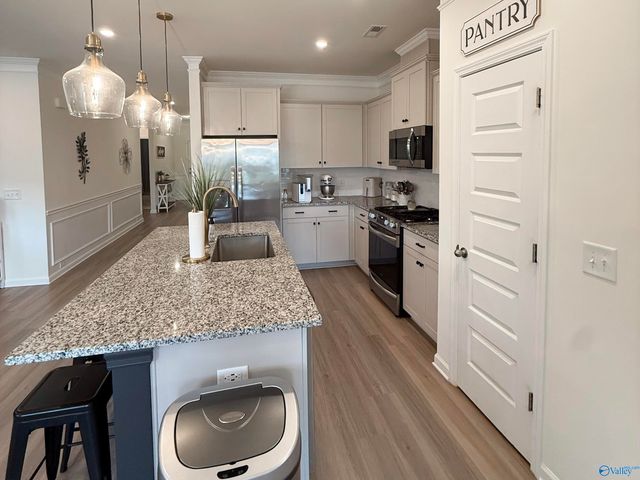 13038 Lantern Pointe Way, Harvest, AL 35749