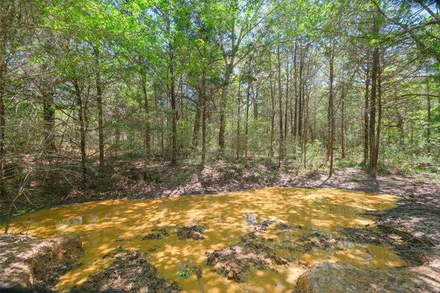 24718 Squirrel Road, New Ulm, TX 78950