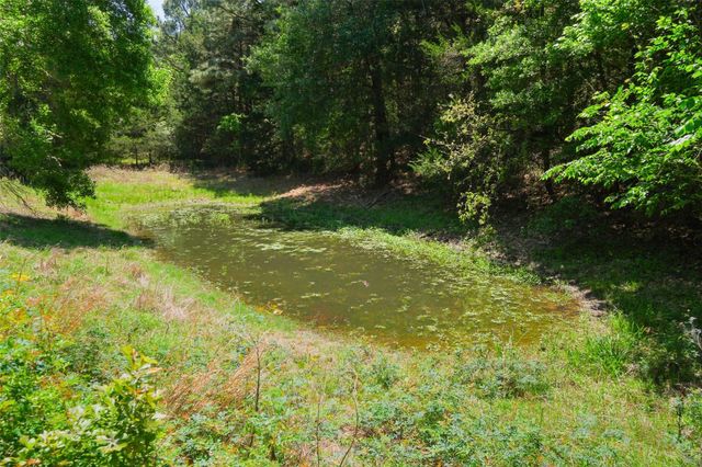 24718 Squirrel Road, New Ulm, TX 78950