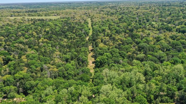 24718 Squirrel Road, New Ulm, TX 78950