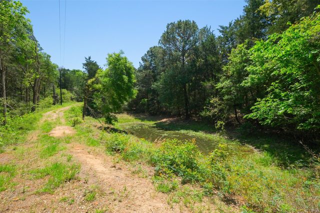 24718 Squirrel Road, New Ulm, TX 78950