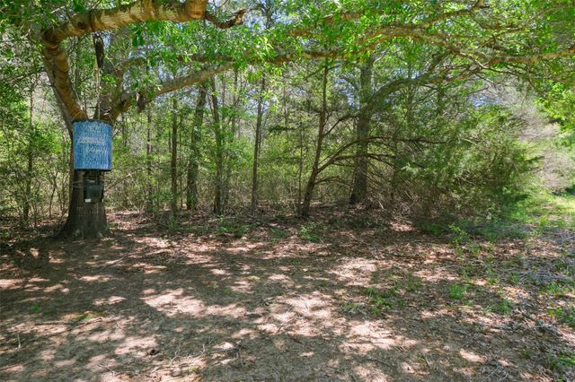 24718 Squirrel Road, New Ulm, TX 78950