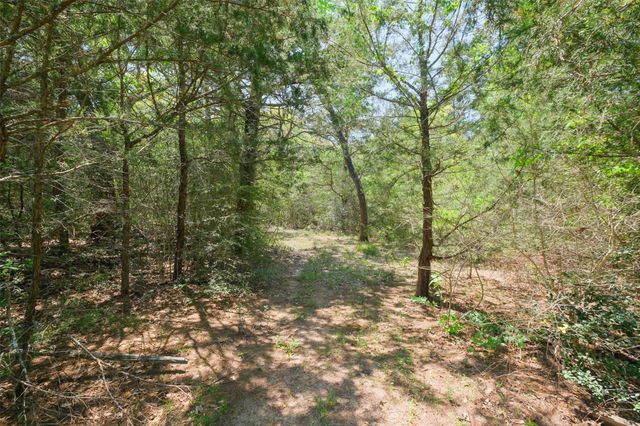 24718 Squirrel Road, New Ulm, TX 78950