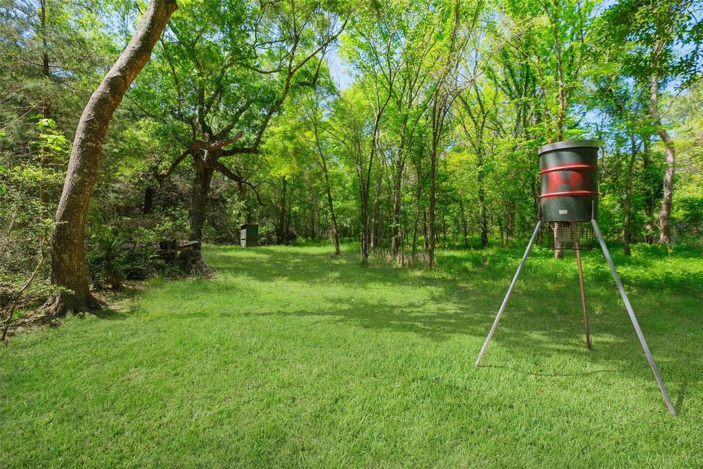 24718 Squirrel Road, New Ulm, TX 78950