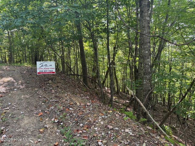 18 Mason Way, Murphy, NC 28906
