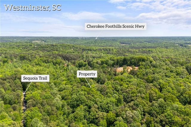 00 PINE GAP Cove, Westminster, SC 29693