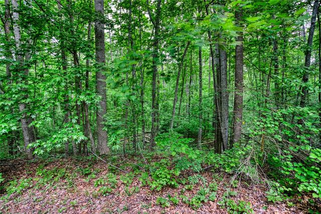 00 PINE GAP Cove, Westminster, SC 29693