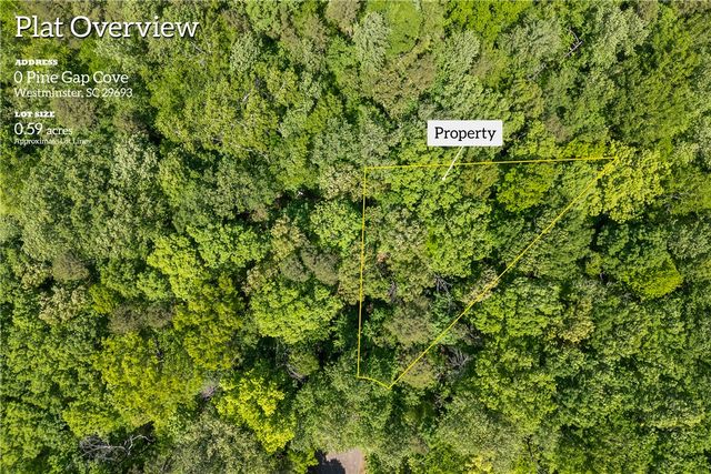 00 PINE GAP Cove, Westminster, SC 29693