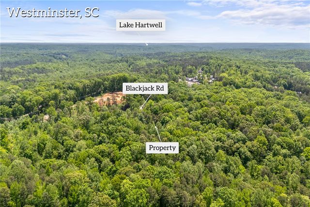 00 PINE GAP Cove, Westminster, SC 29693