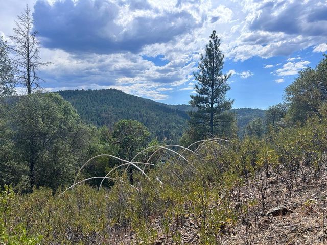 73046 Hill Rd, Covelo, CA 95428