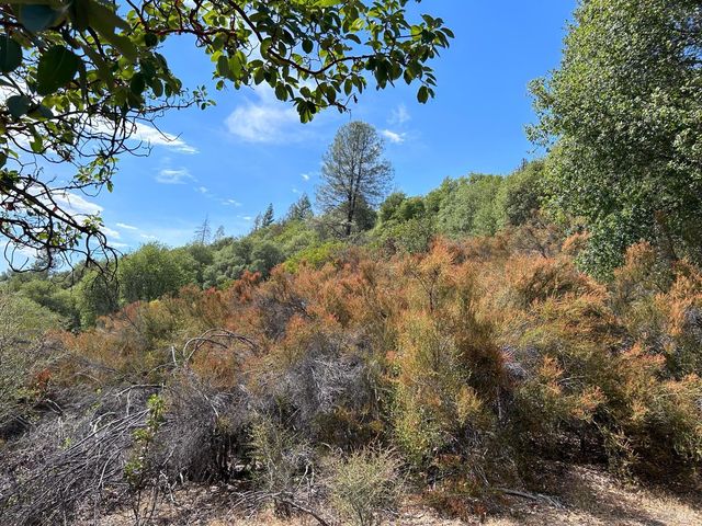 73046 Hill Rd, Covelo, CA 95428
