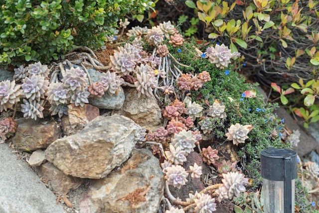 4107 4107 Lyman Rd, Oakland, CA 94602