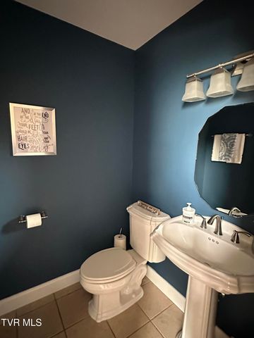 186 Butchertown Road, Fall Branch, TN 37656