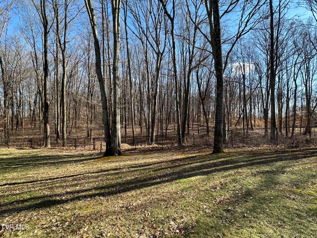 186 Butchertown Road, Fall Branch, TN 37656