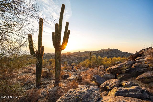 917 E BUIST Avenue, Phoenix, AZ 85042