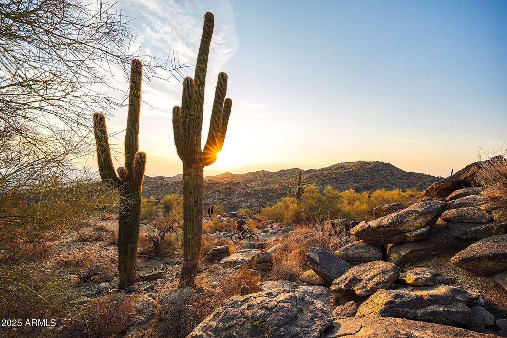 Image 34 of property listing at 917 E BUIST Avenue, Phoenix, AZ 85042