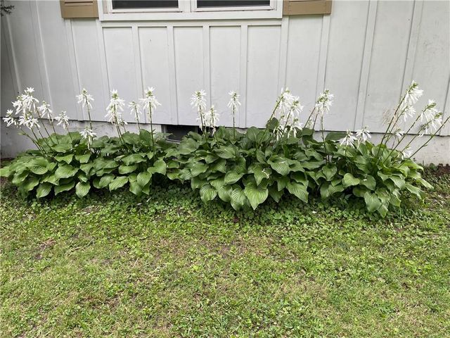 205 E Maple Street, Raymore, MO 64083