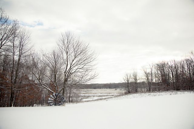 14186 S Mocking Bird Lane, Grant, MI 49327