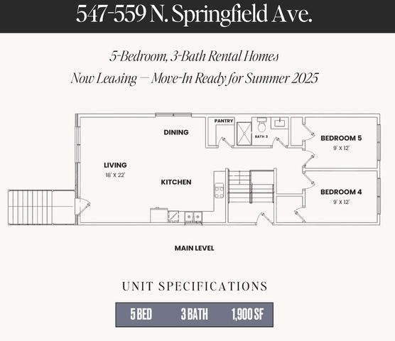 547 N Springfield Avenue, Chicago, IL 60624
