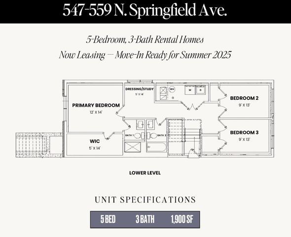 547 N Springfield Avenue, Chicago, IL 60624