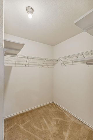 1148 Amberwood LOOP, Kyle, TX 78640