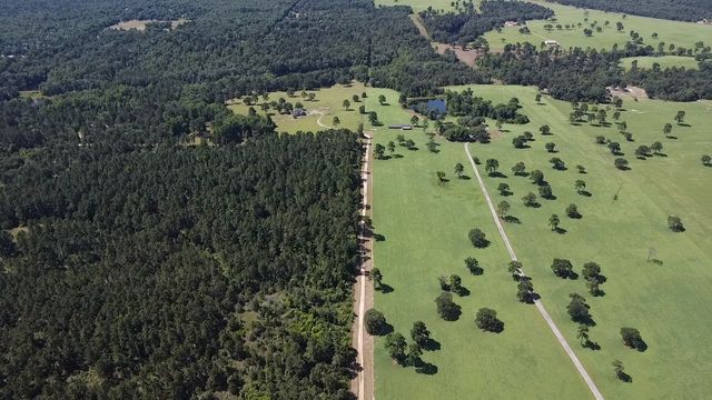 872 County Road 3588, Winnsboro, TX 75494