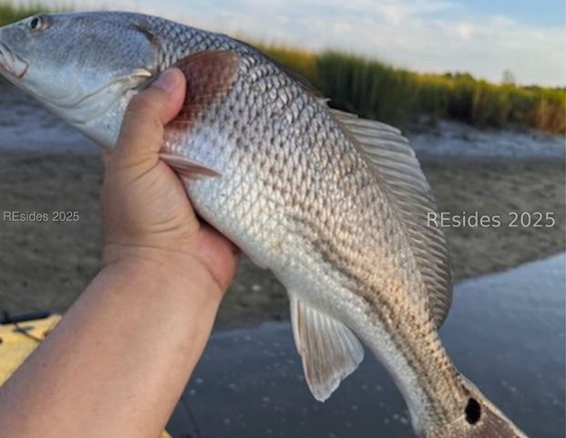 84 Barnaby Blf, Seabrook, SC 29940