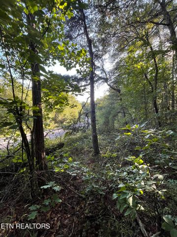 Lake Shore Drive, Monterey, TN 38574