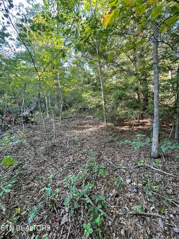 Lake Shore Drive, Monterey, TN 38574