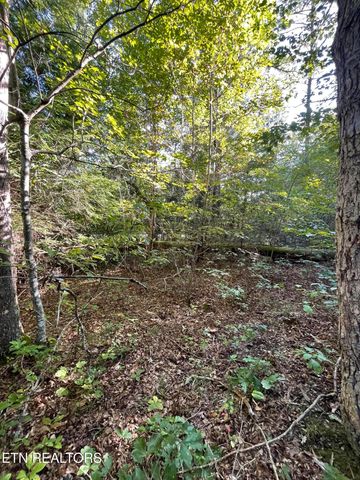 Lake Shore Drive, Monterey, TN 38574