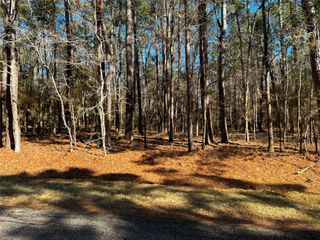 55 Green Tree Drive, Coldspring, TX 77331