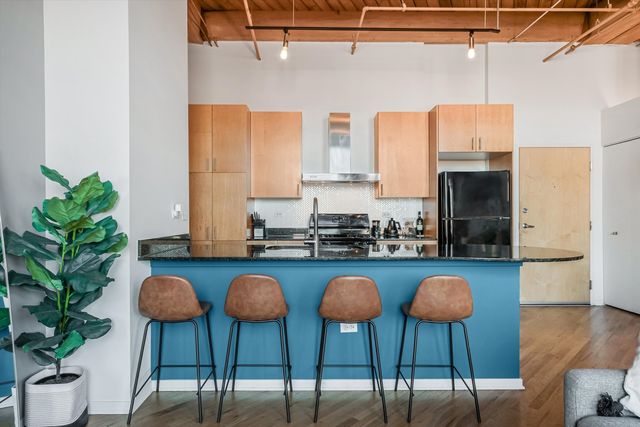 1040 W ADAMS Street 417, Chicago, IL 60607