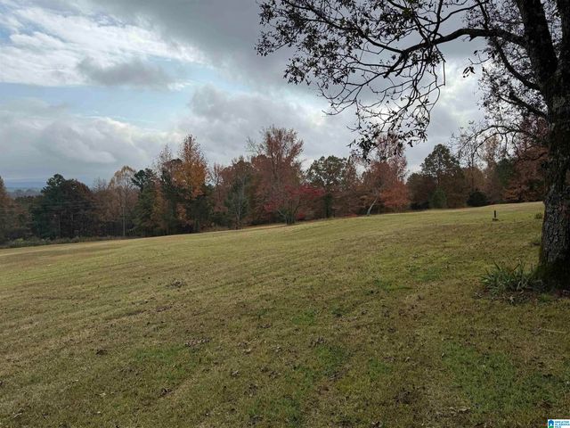 1114 BLACKJACK ROAD, Trussville, AL 35173