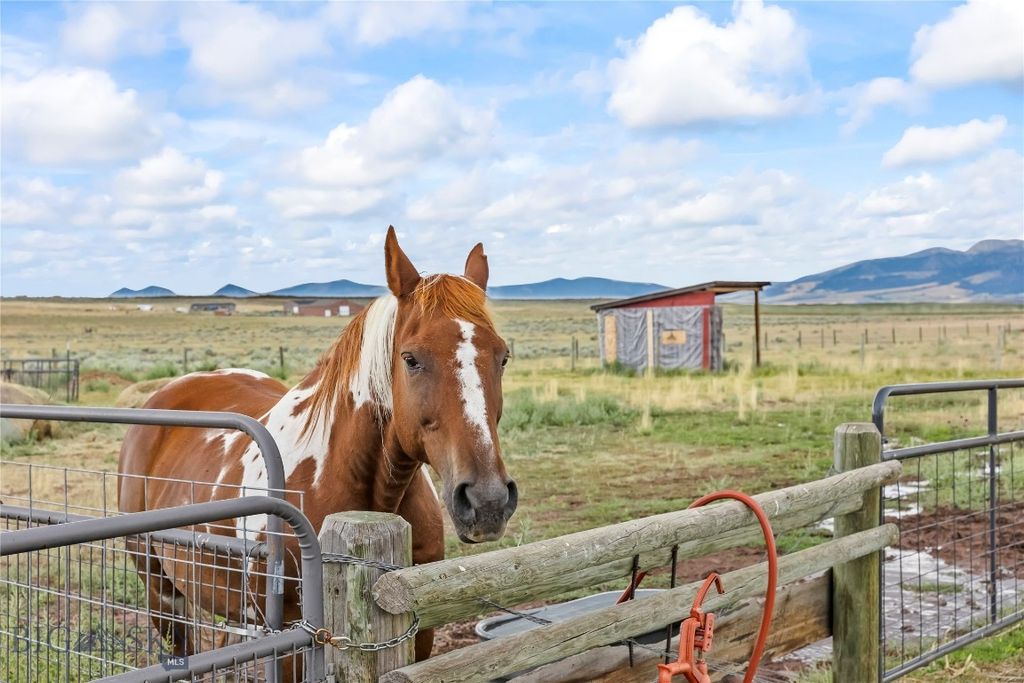 Nhn Great, Wilsall, MT 59086 photo 86