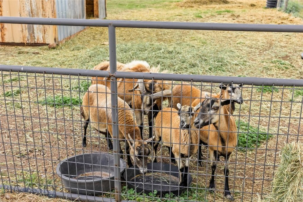 Nhn Great, Wilsall, MT 59086 photo 87