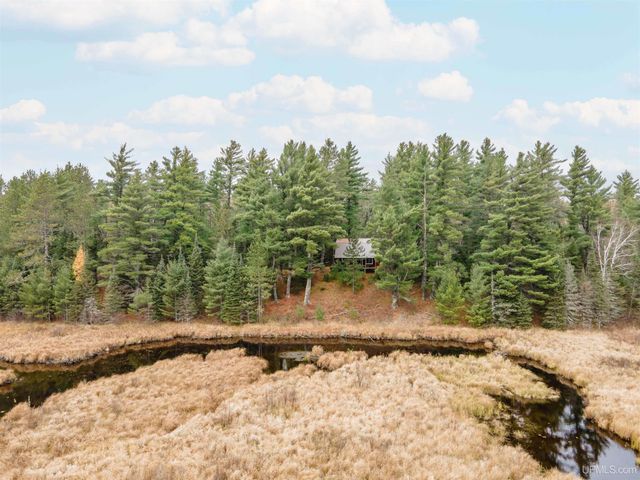 TBD Forest 3612 Road, Iron River, MI 49935