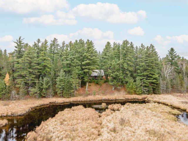 TBD Forest 3612 Road, Iron River, MI 49935