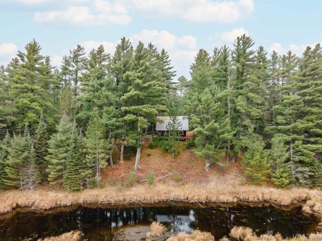 TBD Forest 3612 Road, Iron River, MI 49935