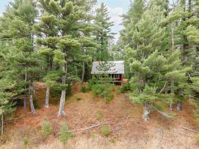 TBD Forest 3612 Road, Iron River, MI 49935