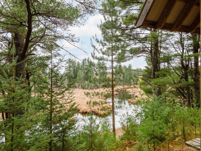 TBD Forest 3612 Road, Iron River, MI 49935