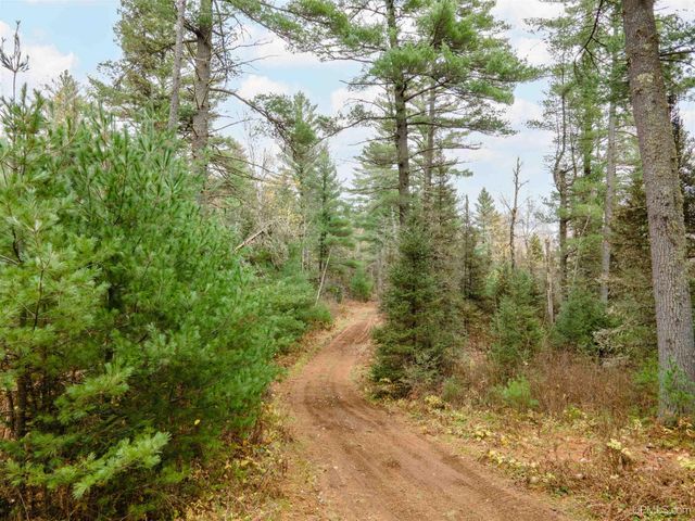 TBD Forest 3612 Road, Iron River, MI 49935