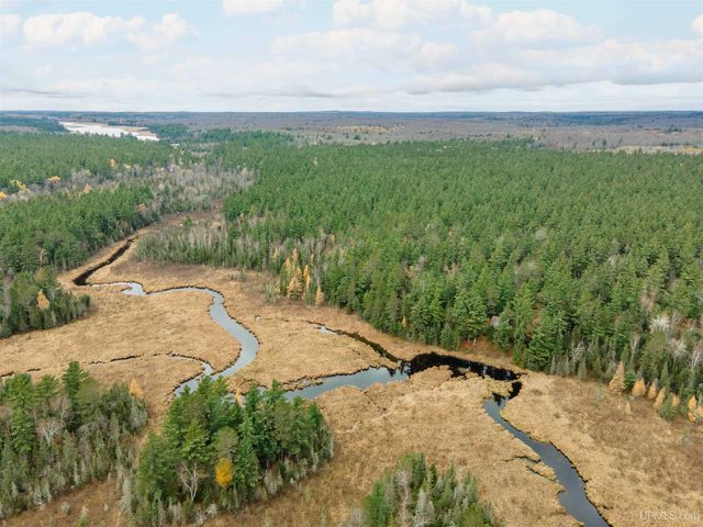 TBD Forest 3612 Road, Iron River, MI 49935