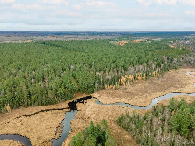 TBD Forest 3612 Road, Iron River, MI 49935