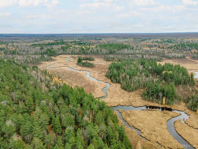 TBD Forest 3612 Road, Iron River, MI 49935