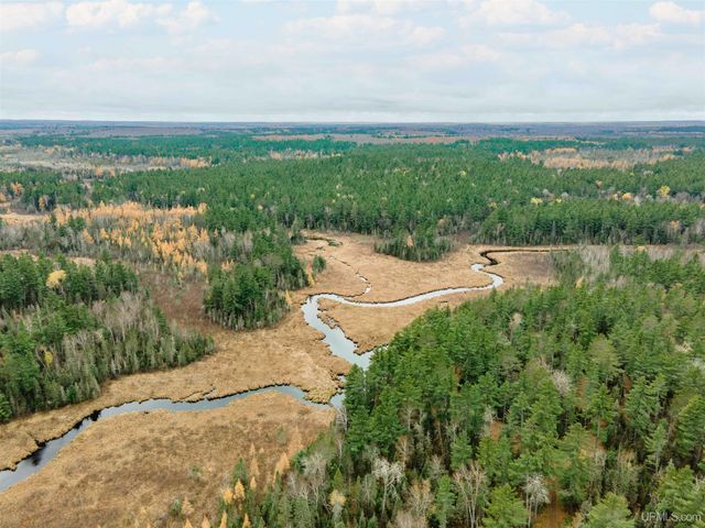 TBD Forest 3612 Road, Iron River, MI 49935
