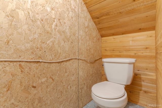 TBD Forest 3612 Road, Iron River, MI 49935