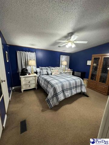 532 Sandy Hill Drive, Dillon, SC 29536