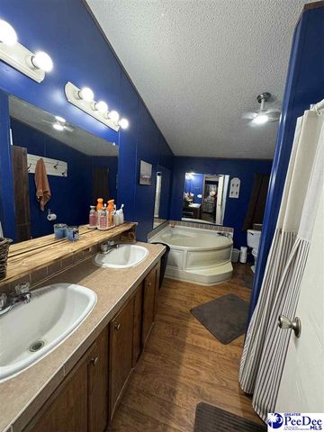 532 Sandy Hill Drive, Dillon, SC 29536