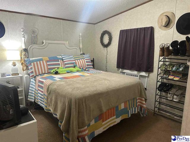 532 Sandy Hill Drive, Dillon, SC 29536