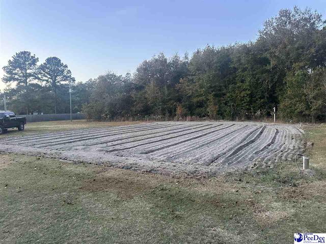 532 Sandy Hill Drive, Dillon, SC 29536